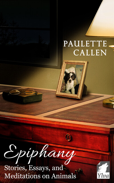 Epiphany – Stories, Essays, and Meditations on Animals, Paulette Callen