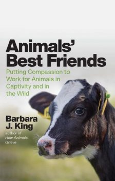 Animals' Best Friends, Barbara J. King