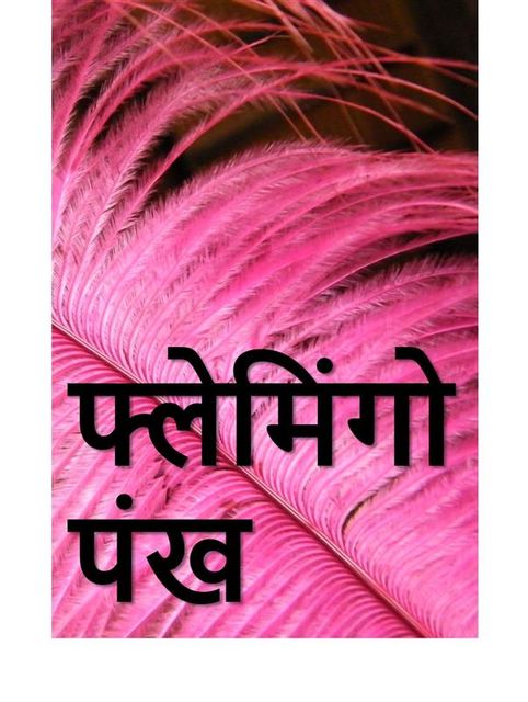 फ्लेमिंगो पंख, The Flamingo Feather, Hindi edition, Kirk Munroe