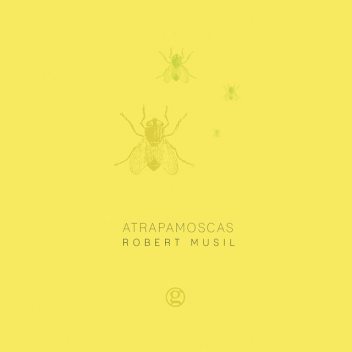 Atrapamoscas, Robert Musil