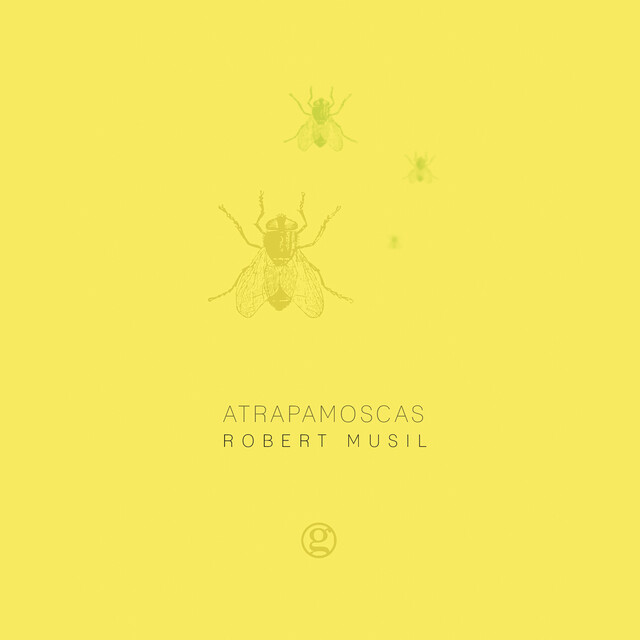 Atrapamoscas, Robert Musil