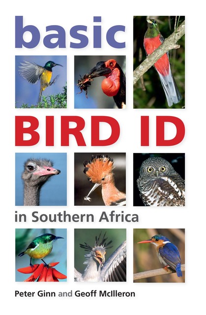 Basic Bird ID in Southern Africa, Peter Ginn