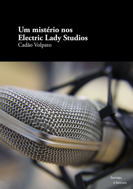 Um mistério nos Electric Lady Studios, Cadão Volpato