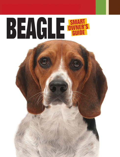 Beagle, Dog Fancy Magazine