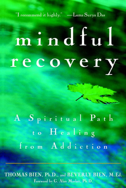 Mindful Recovery, Ph.D., Beverly Bien, Thomas Bien