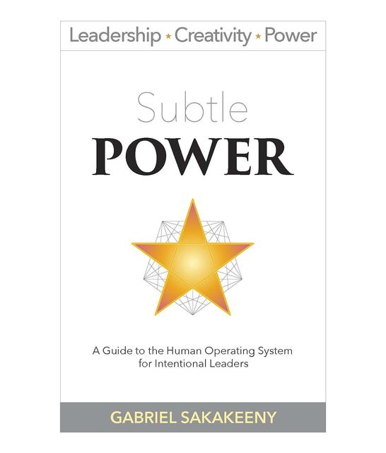Subtle POWER: Unleash the Hidden Value Within, Gabriel Sakakeeny