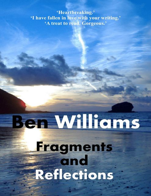 Fragments and Reflections, Ben Williams