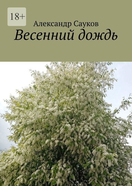 Весенний дождь, Александр Сауков