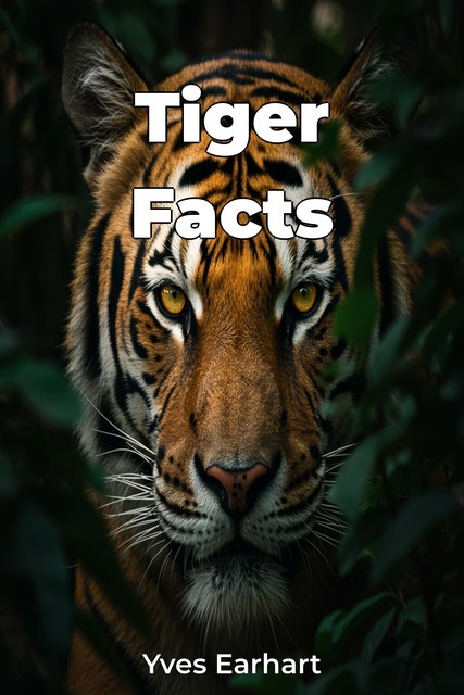 Tiger Facts, Yves Earhart