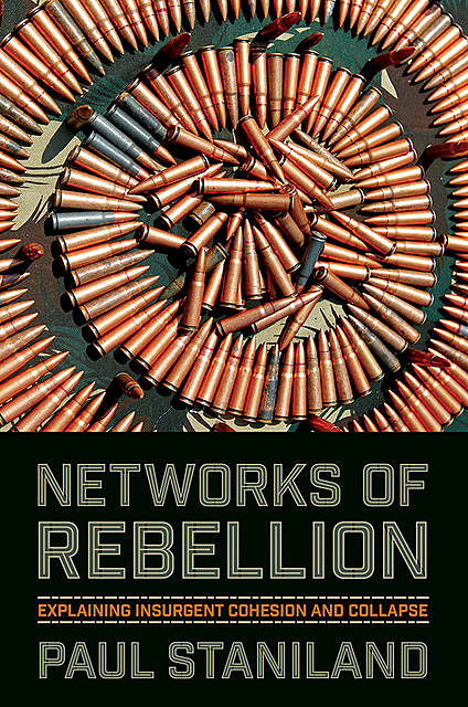 Networks of Rebellion, Paul Staniland