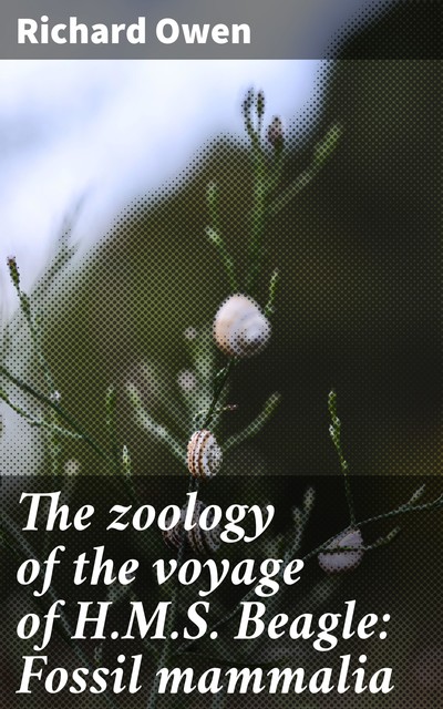 The zoology of the voyage of H.M.S. Beagle: Fossil mammalia, Richard Owen