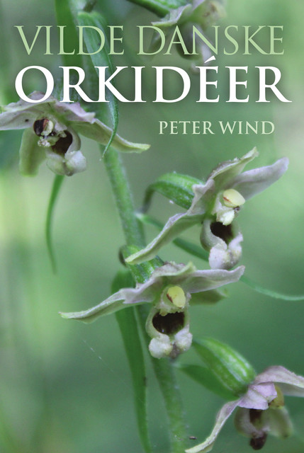 Vilde danske orkidéer, Peter Wind