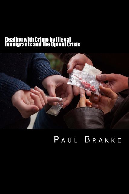 Dealing with Crime by Illegal Immigrants and the Opioid Crisis, Paul Brakke