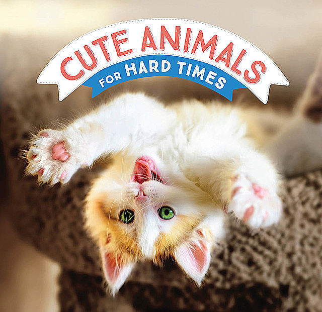 Cute Animals for Hard Times, Chronicle Books
