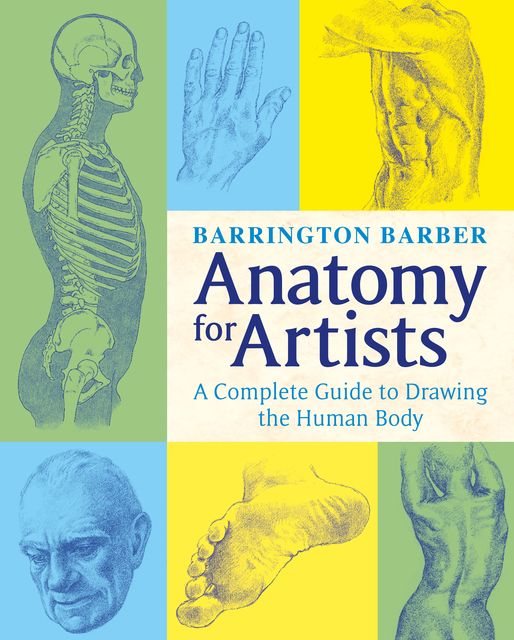 Anatomy for Artists, Barrington Barber