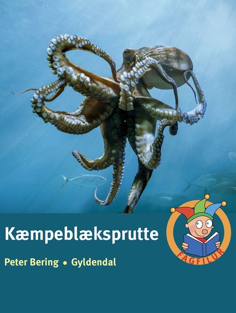 Kæmpeblæksprutte, Peter Bering