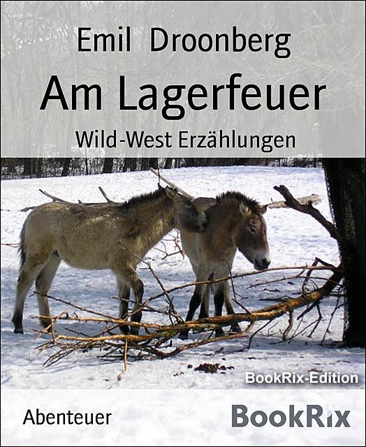 Am Lagerfeuer, Emil Droonberg