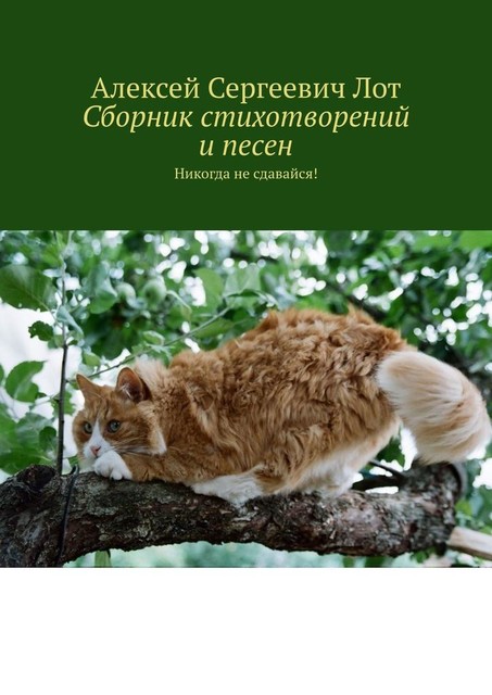 Сборник стихотворений и песен. Никогда не сдавайся, Алексей Лот