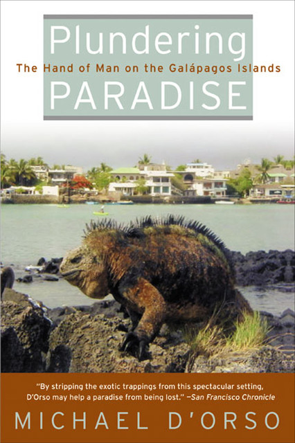Plundering Paradise, Michael D'Orso