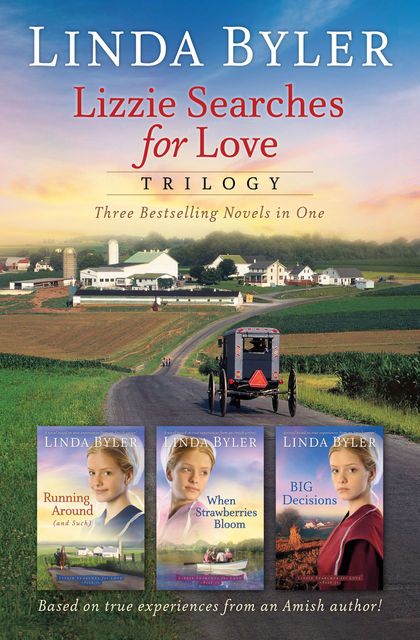 Lizzie Searches for Love Trilogy, Linda Byler