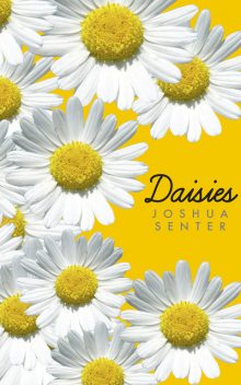 Daisies, Joshua Senter