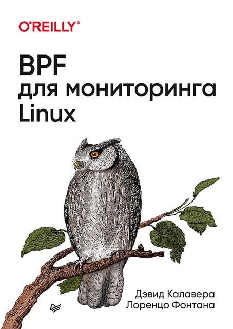 BPF для мониторинга Linux, Калавера Д., Фонтана Л. .