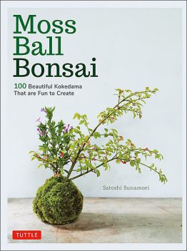 Moss Ball Bonsai, Satoshi Sunamori