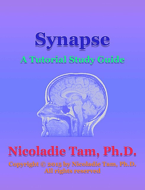 Synapse: A Tutorial Study Guide, Nicoladie Tam