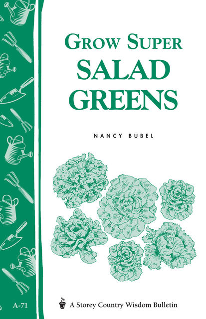 Grow Super Salad Greens, Nancy Bubel