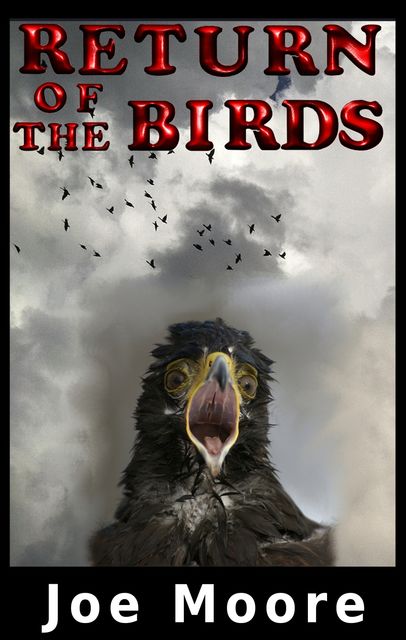 Return of the Birds, Joe Moore