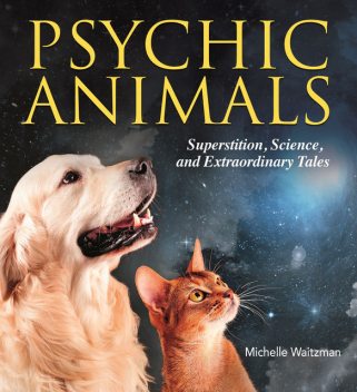 Psychic Animals, Michelle Waitzman