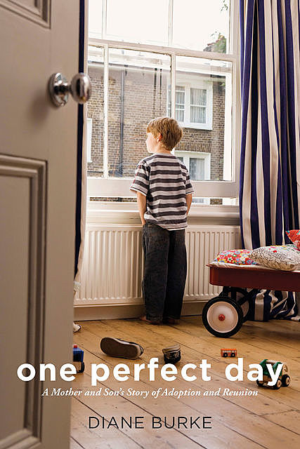 One Perfect Day, Diane Burke