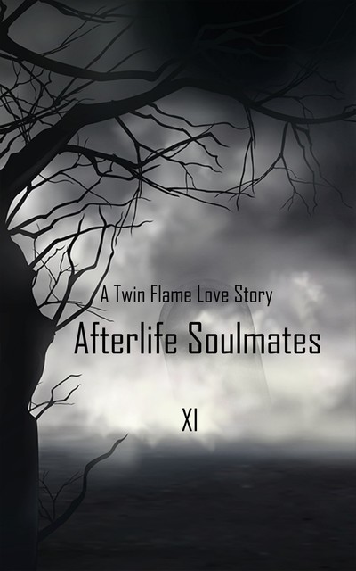 Afterlife Soulmates, XI