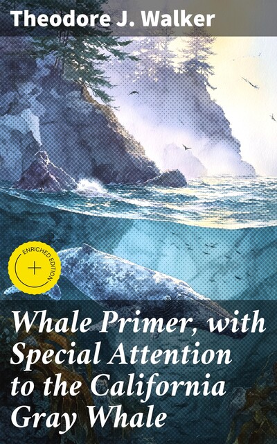Whale Primer, with Special Attention to the California Gray Whale, Theodore J. Walker