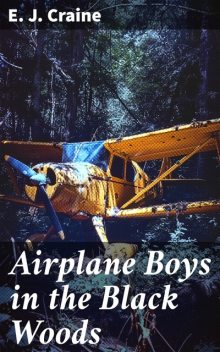 Airplane Boys in the Black Woods, E.J. Craine