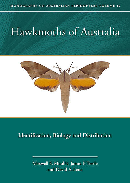 Hawkmoths of Australia, David Lane, James Tuttle, Maxwell Moulds