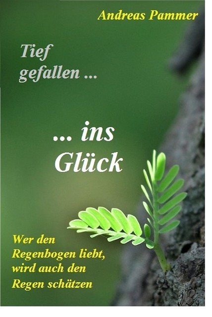 Tief gefallen… …ins Glück, Andreas Pammer