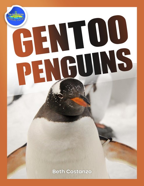 Gentoo Penguins activity workbook ages 4–8, Beth Costanzo