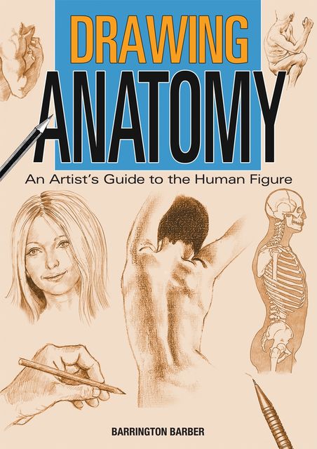 Drawing Anatomy, Barrington Barber