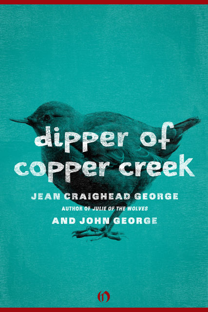Dipper of Copper Creek, George John, Jean Craighead George