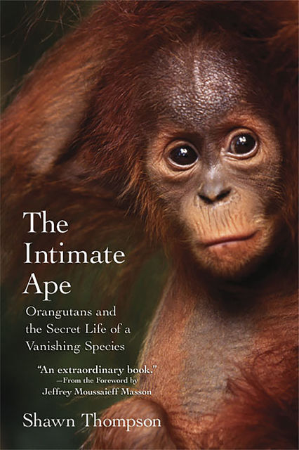 The Intimate Ape, Jeffrey Moussaieff Masson, Shawn Thompson