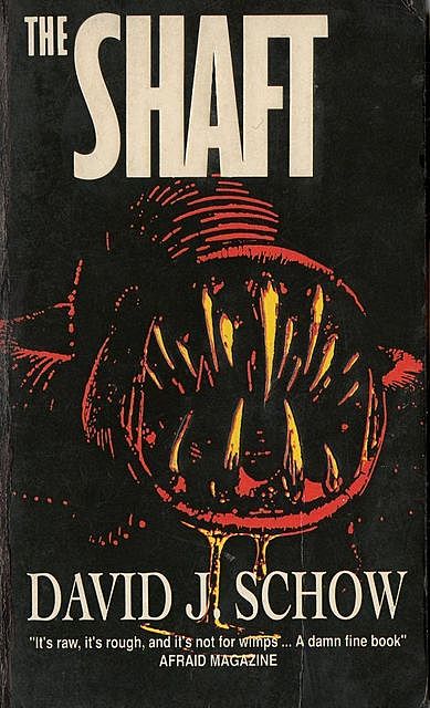 The Shaft, David J.Schow