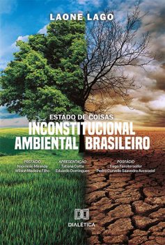 Estado de Coisas Inconstitucional Ambiental Brasileiro, Laone Lago