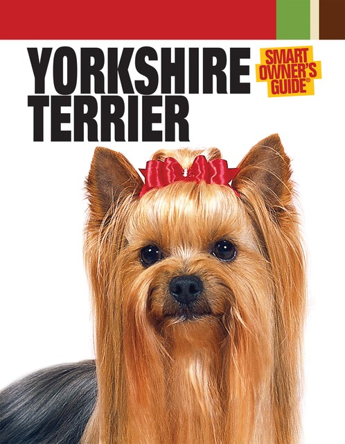 Yorkshire Terrier, Dog Fancy Magazine