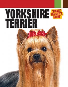 Yorkshire Terrier, Dog Fancy Magazine
