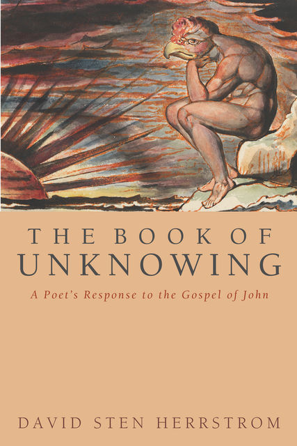 The Book of Unknowing, David Sten Herrstrom