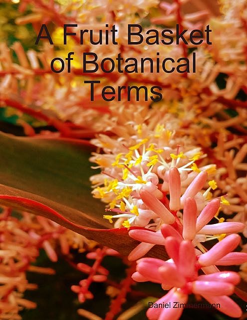 A Fruit Basket of Botanical Terms, Daniel Zimmermann