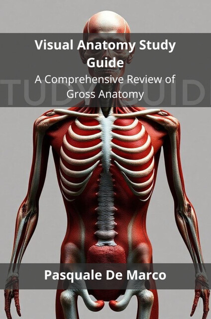 Visual Anatomy Study Guide, Pasquale De Marco