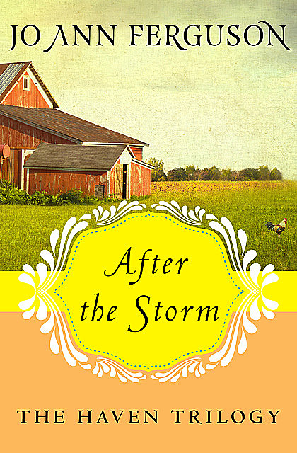 After the Storm, Jo Ann Ferguson