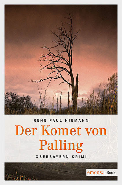 Der Komet von Palling, René Paul Niemann
